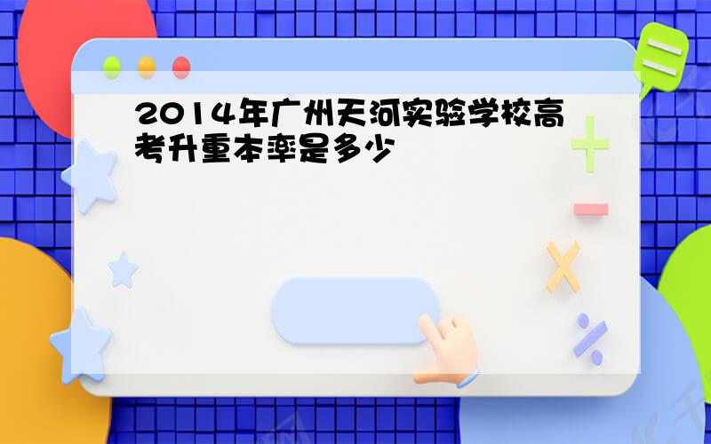 2014年广州天河实验学校高考升重本率是多少