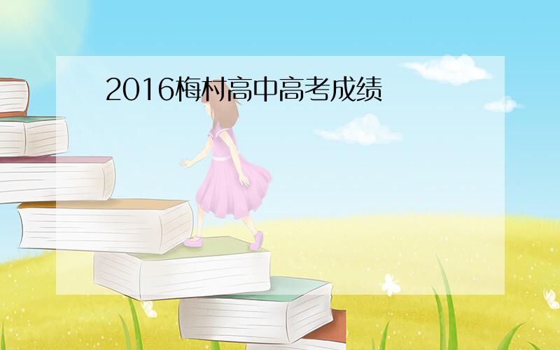 2016梅村高中高考成绩