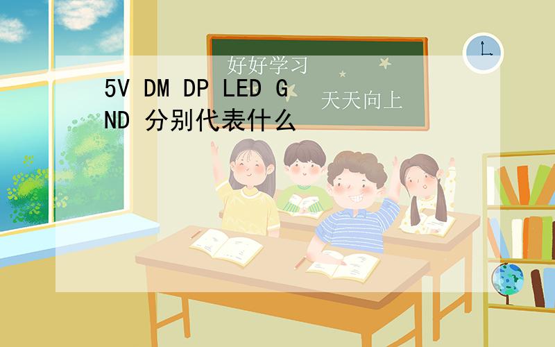 5V DM DP LED GND 分别代表什么