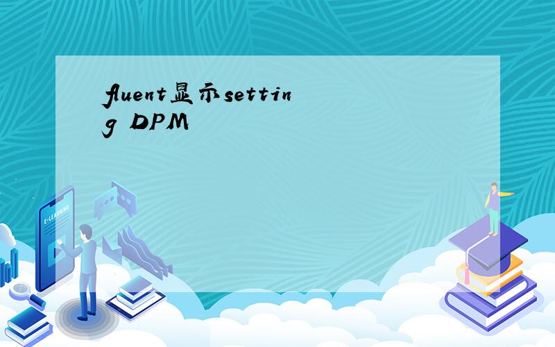 fluent显示setting DPM