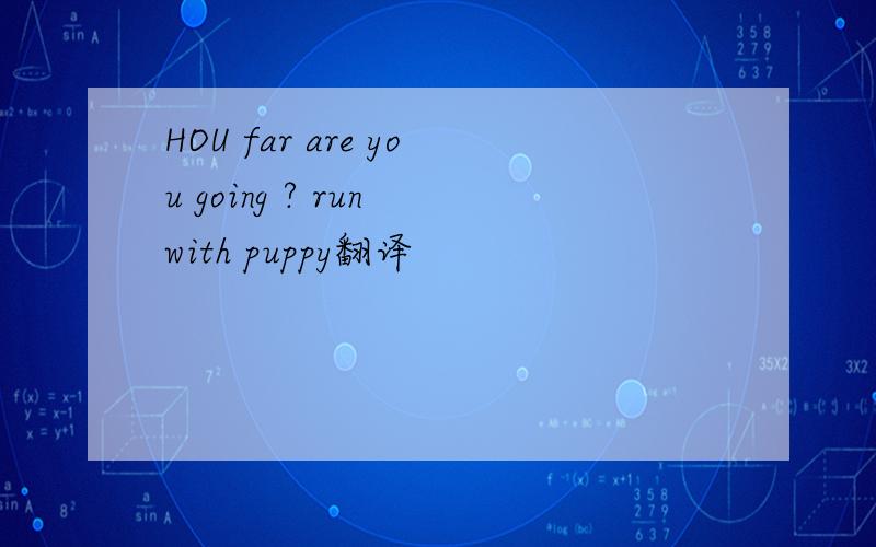 HOU far are you going ? run with puppy翻译