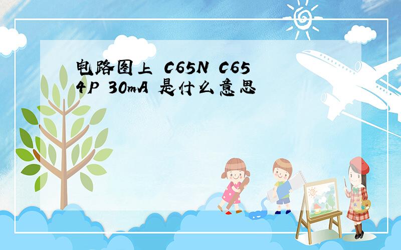 电路图上 C65N C65 4P 30mA 是什么意思