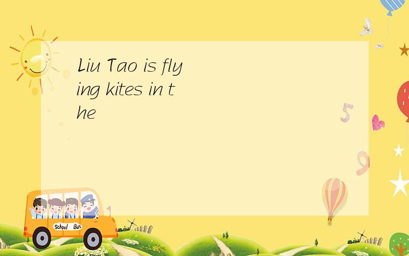 Liu Tao is flying kites in the