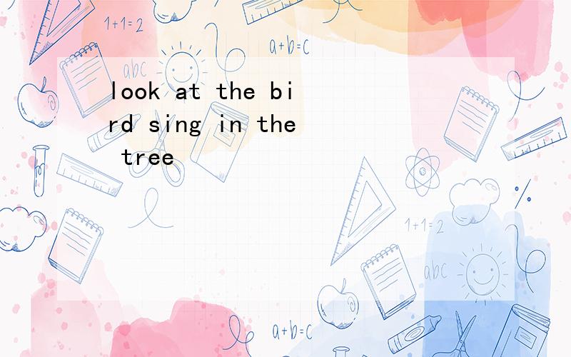 look at the bird sing in the tree
