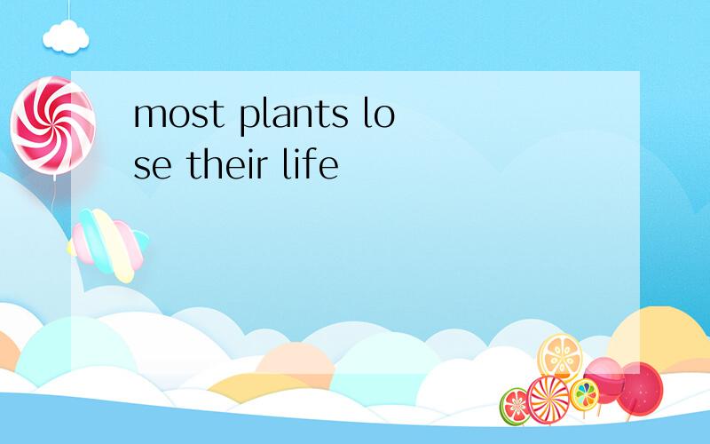 most plants lose their life