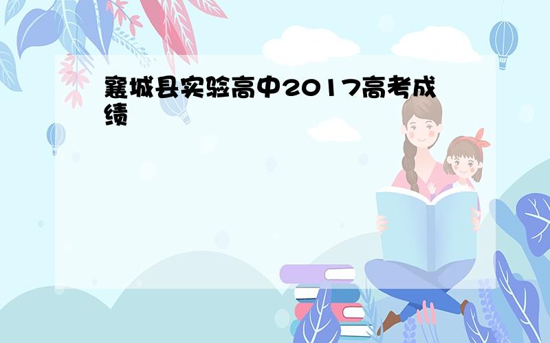 襄城县实验高中2017高考成绩