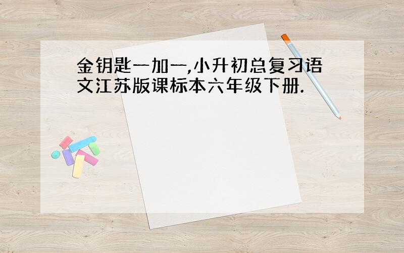 金钥匙一加一,小升初总复习语文江苏版课标本六年级下册.