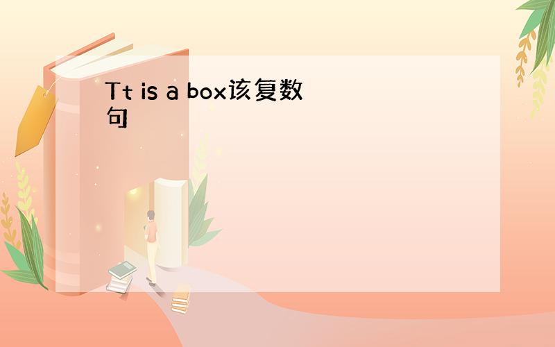 Tt is a box该复数句