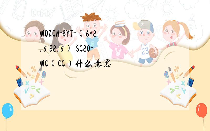 WDZCN-BYJ-(6*2.5 E2.5) SC20-WC(CC)什么意思