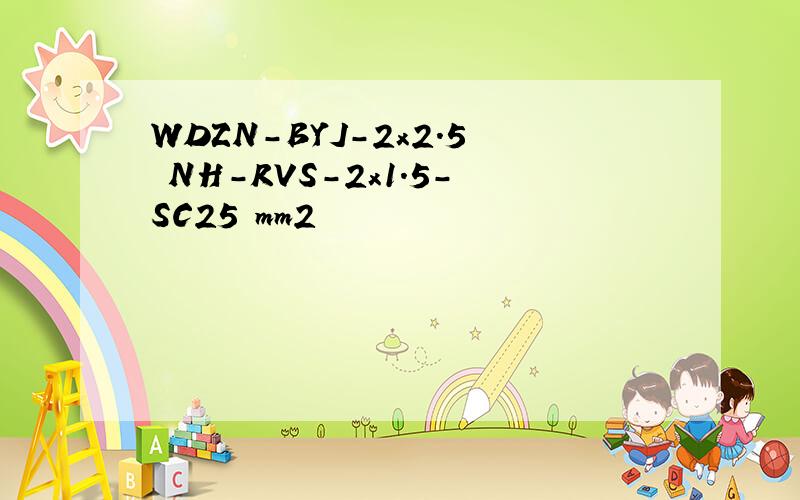 WDZN-BYJ-2x2.5 NH-RVS-2x1.5-SC25 mm2