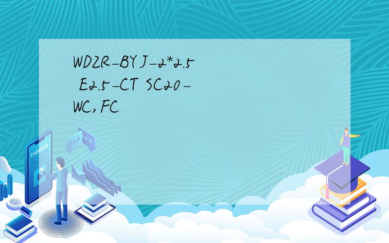 WDZR-BYJ-2*2.5 E2.5-CT SC20-WC,FC