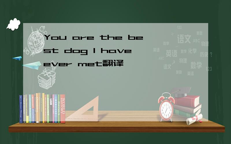 You are the best dog I have ever met翻译