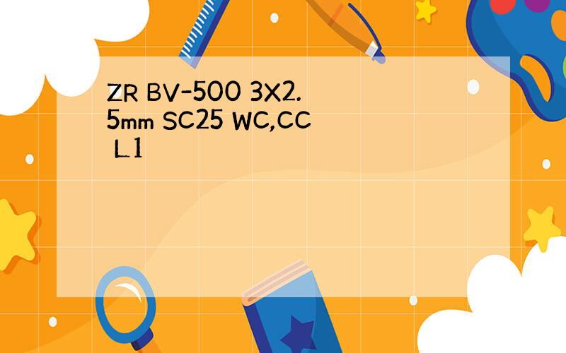 ZR BV-500 3X2.5mm SC25 WC,CC L1