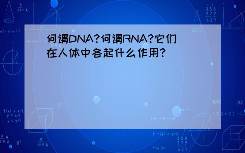 何谓DNA?何谓RNA?它们在人体中各起什么作用?