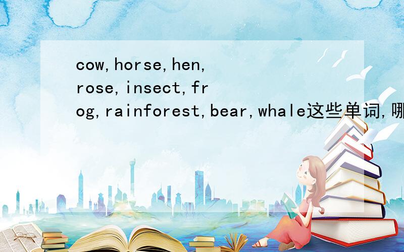 cow,horse,hen,rose,insect,frog,rainforest,bear,whale这些单词,哪些可