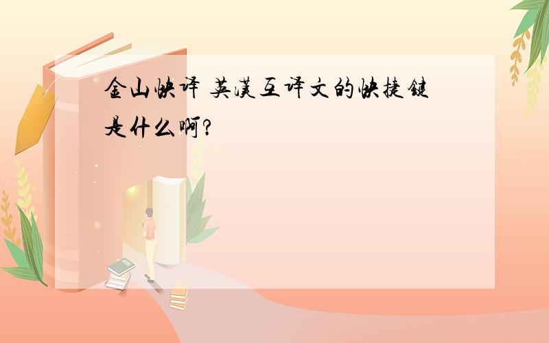 金山快译 英汉互译文的快捷键是什么啊?