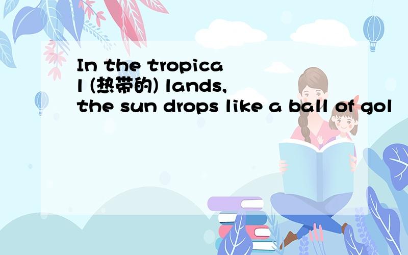 In the tropical (热带的) lands,the sun drops like a ball of gol