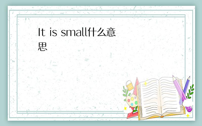 It is small什么意思