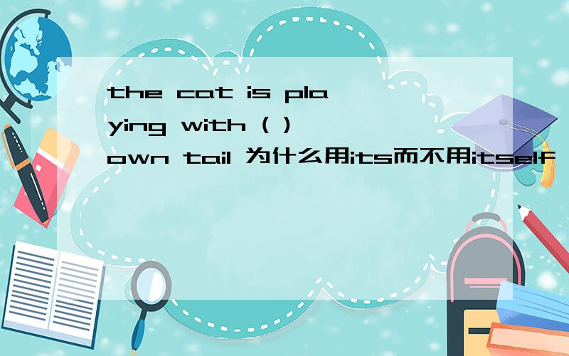 the cat is playing with ( ) own tail 为什么用its而不用itself