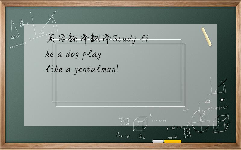 英语翻译翻译Study like a dog play like a gentalman!