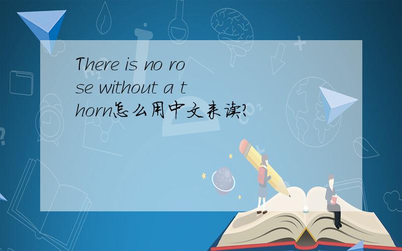 There is no rose without a thorn怎么用中文来读?