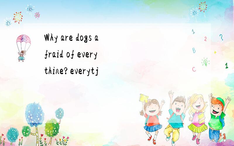 Why are dogs afraid of everythine?everytj