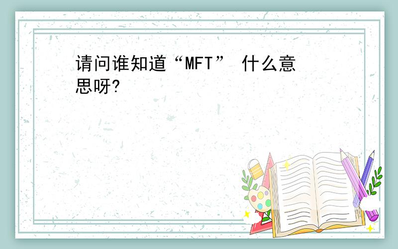 请问谁知道“MFT” 什么意思呀?