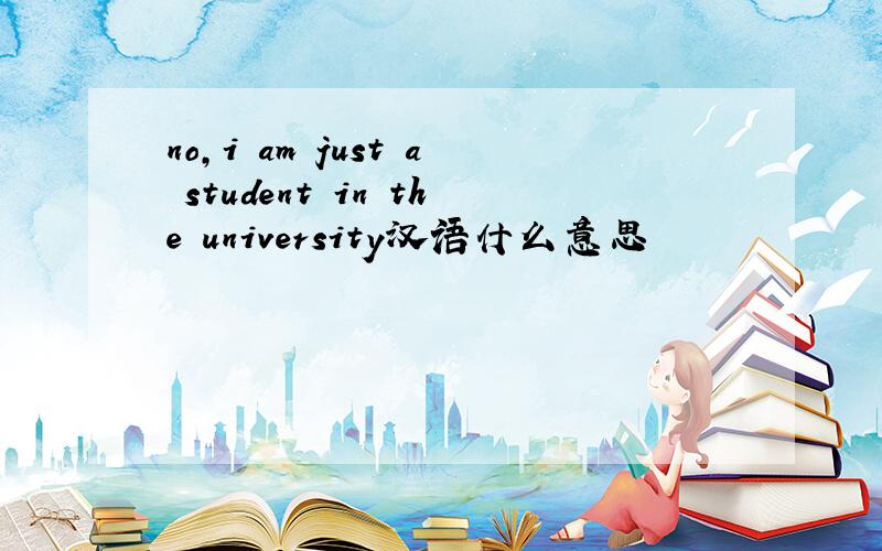 no,i am just a student in the university汉语什么意思