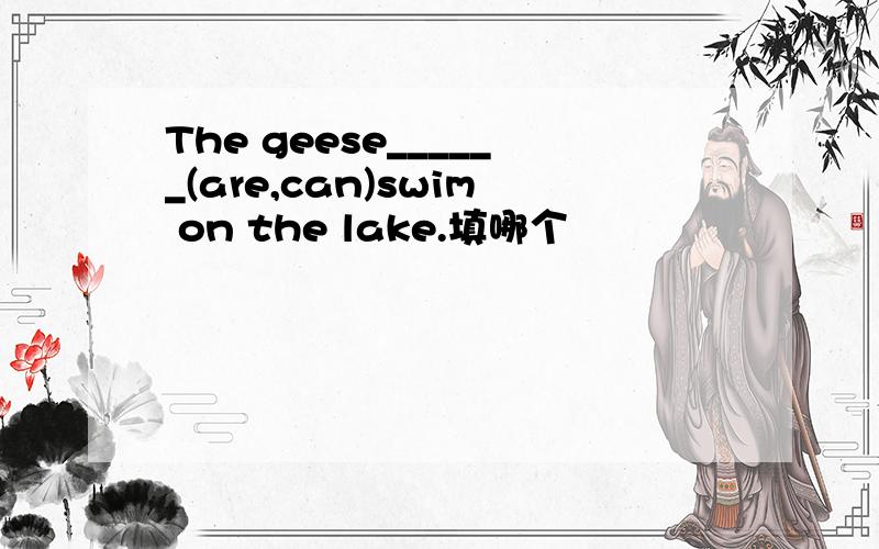 The geese______(are,can)swim on the lake.填哪个