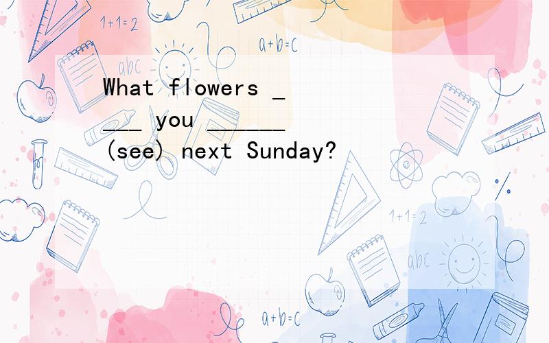 What flowers ____ you ______(see) next Sunday?
