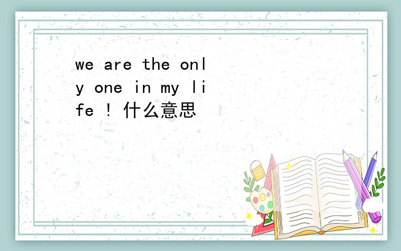 we are the only one in my life ! 什么意思