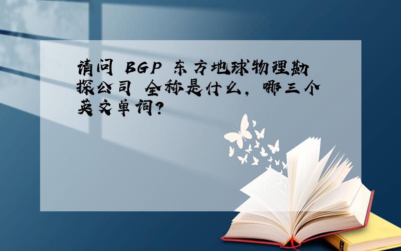 请问 BGP 东方地球物理勘探公司 全称是什么, 哪三个英文单词?