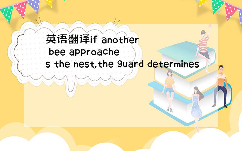 英语翻译if another bee approaches the nest,the guard determines