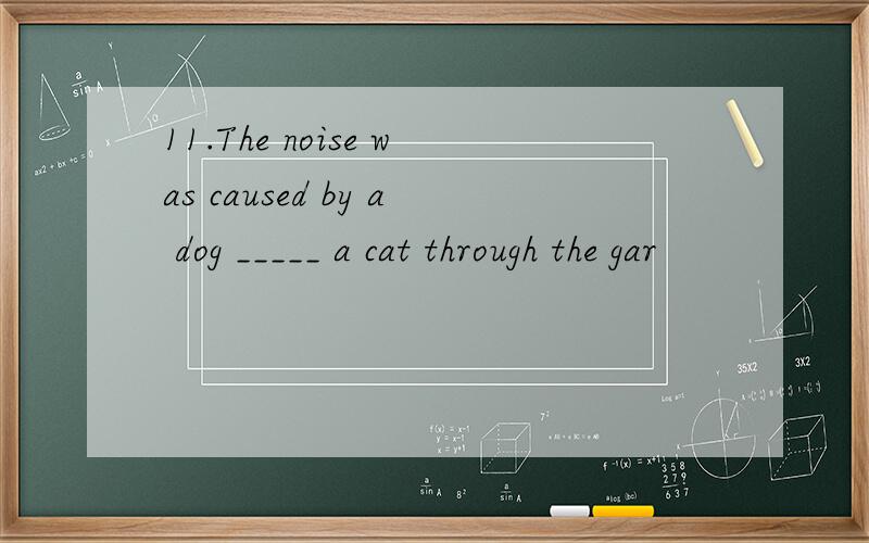 11.The noise was caused by a dog _____ a cat through the gar