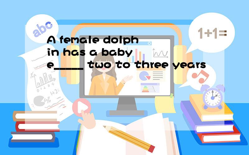 A female dolphin has a baby e_____ two to three years
