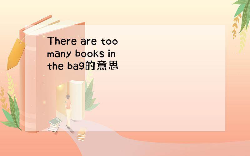 There are too many books in the bag的意思