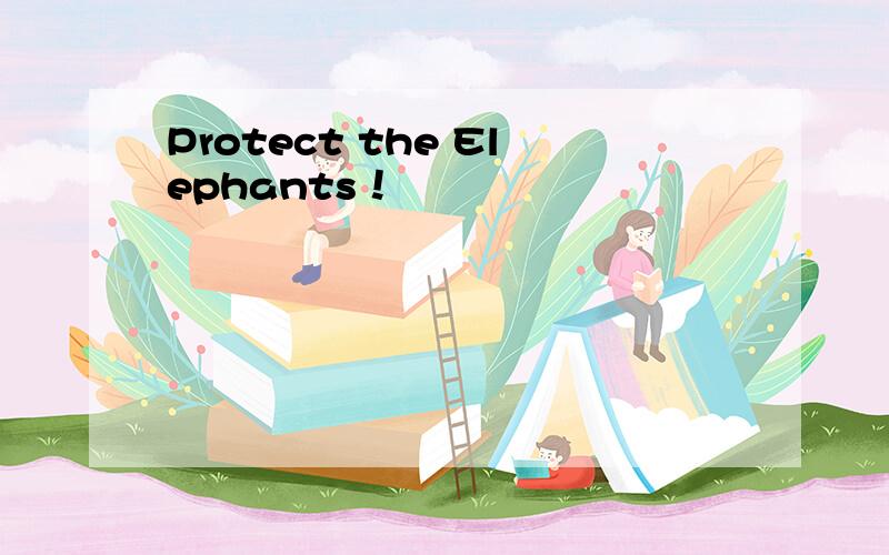 Protect the Elephants！