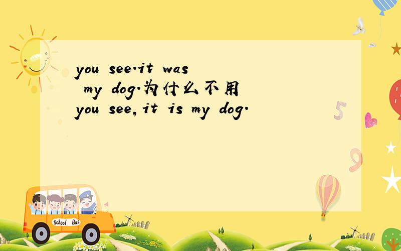 you see.it was my dog.为什么不用 you see,it is my dog.
