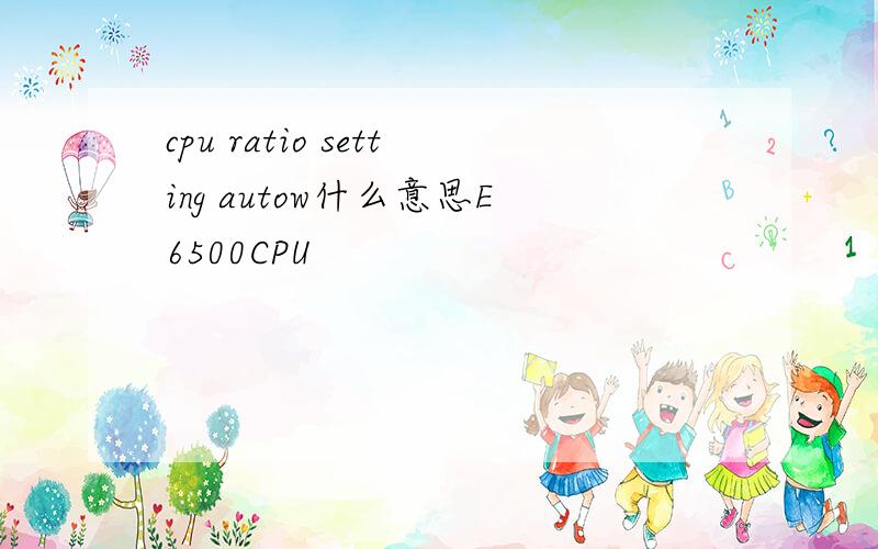 cpu ratio setting autow什么意思E6500CPU