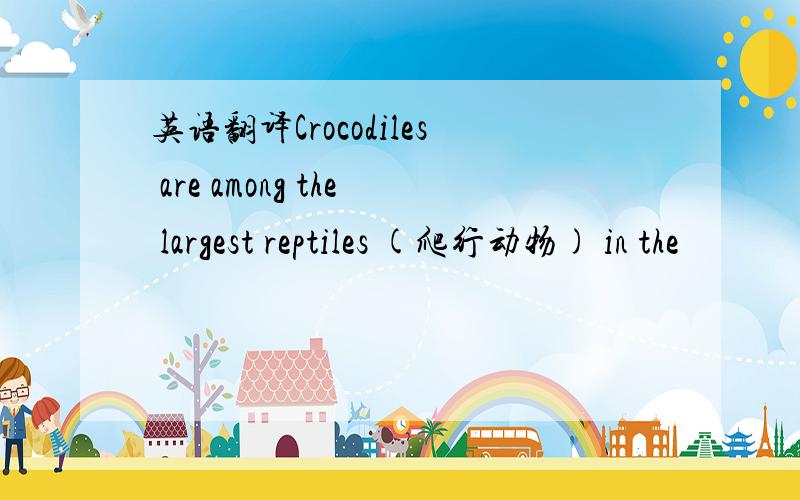 英语翻译Crocodiles are among the largest reptiles (爬行动物) in the