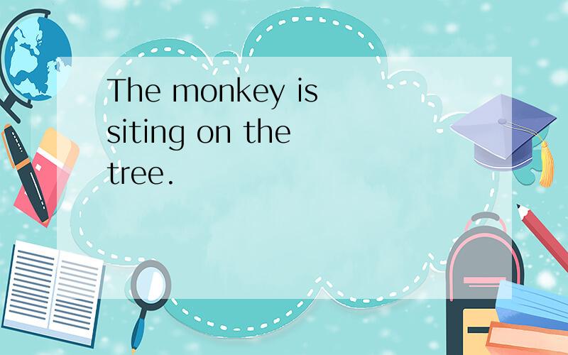 The monkey is siting on the tree.