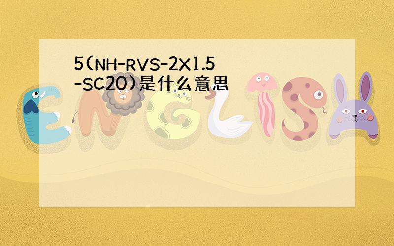5(NH-RVS-2X1.5-SC20)是什么意思