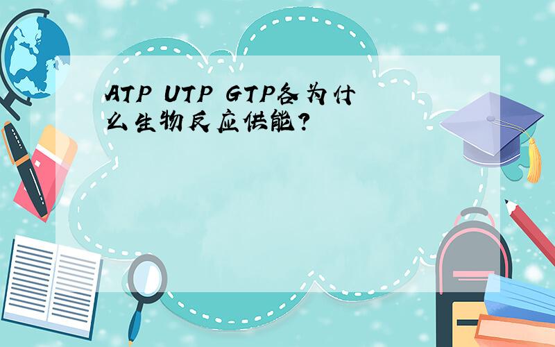 ATP UTP GTP各为什么生物反应供能?