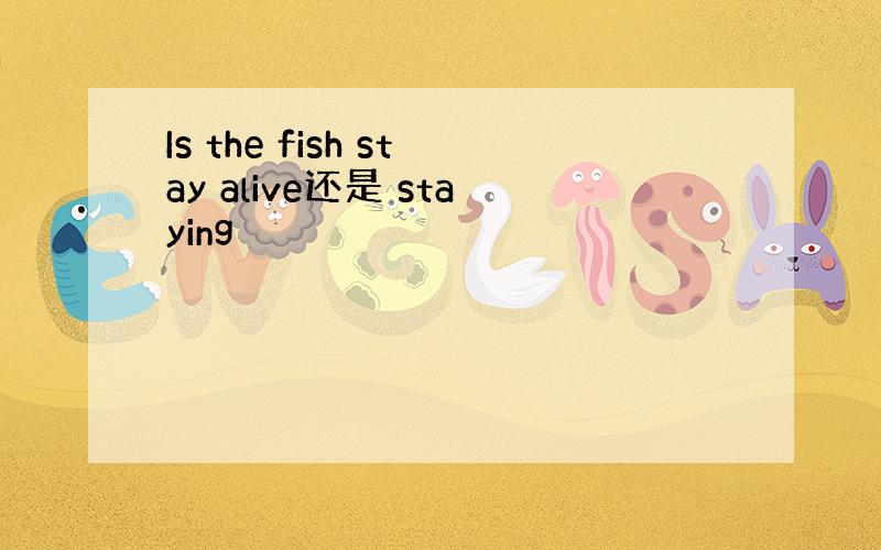 Is the fish stay alive还是 staying
