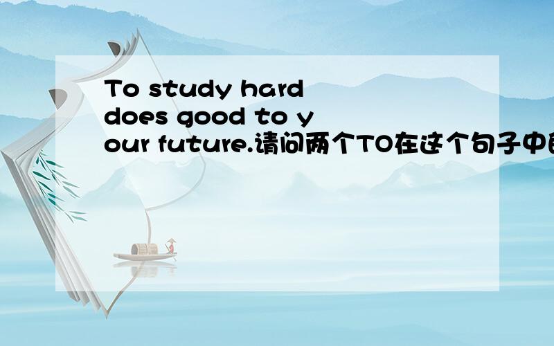 To study hard does good to your future.请问两个TO在这个句子中的用处是什么?