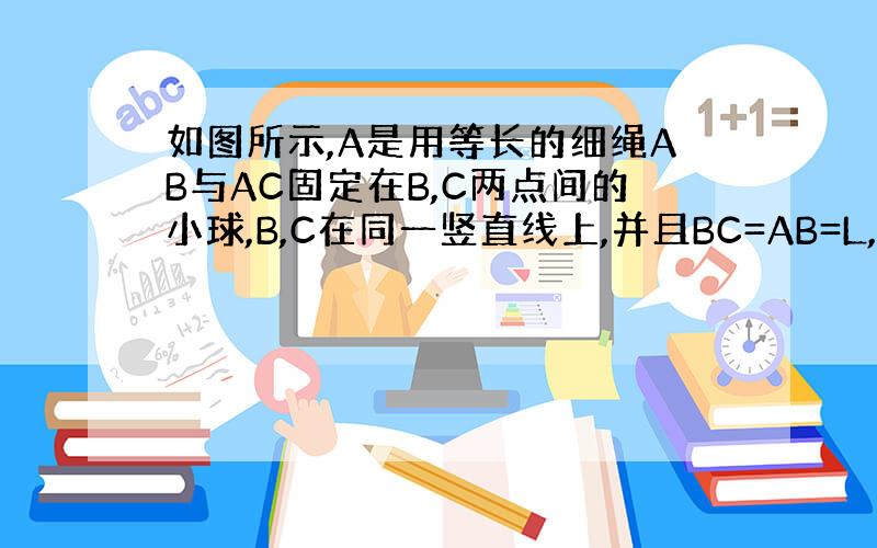 如图所示,A是用等长的细绳AB与AC固定在B,C两点间的小球,B,C在同一竖直线上,并且BC=AB=L,求：当A以多大的