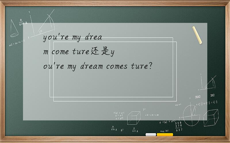you're my dream come ture还是you're my dream comes ture?