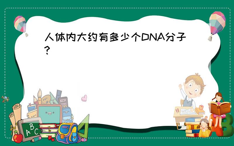 人体内大约有多少个DNA分子?