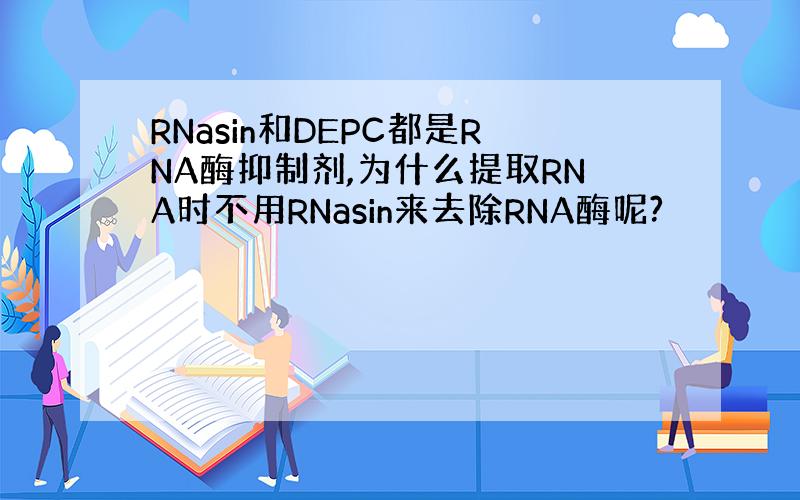 RNasin和DEPC都是RNA酶抑制剂,为什么提取RNA时不用RNasin来去除RNA酶呢?