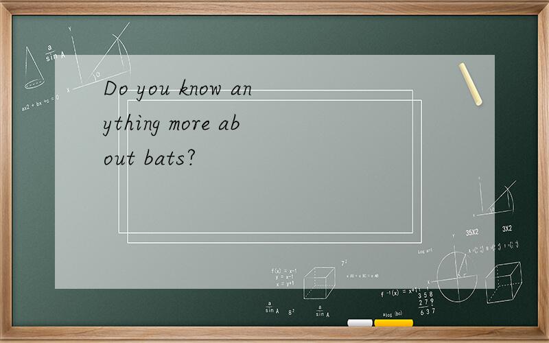 Do you know anything more about bats?